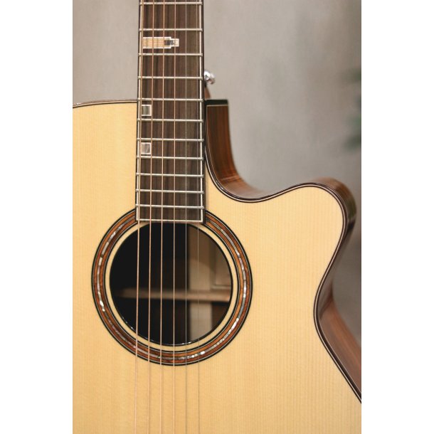 Fonzo V-201S OM Cutaway